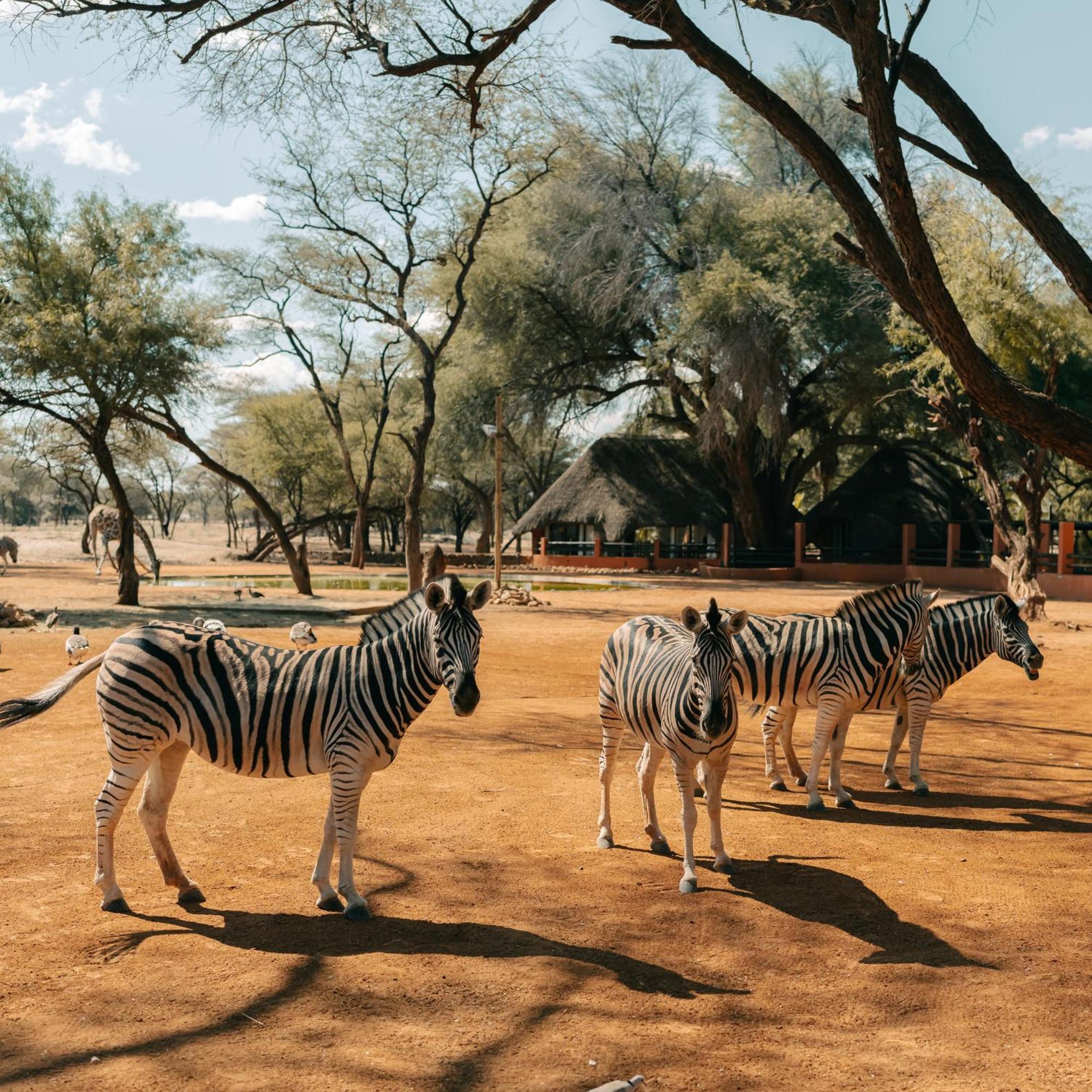 Omaruru Game Lodge Exterior foto